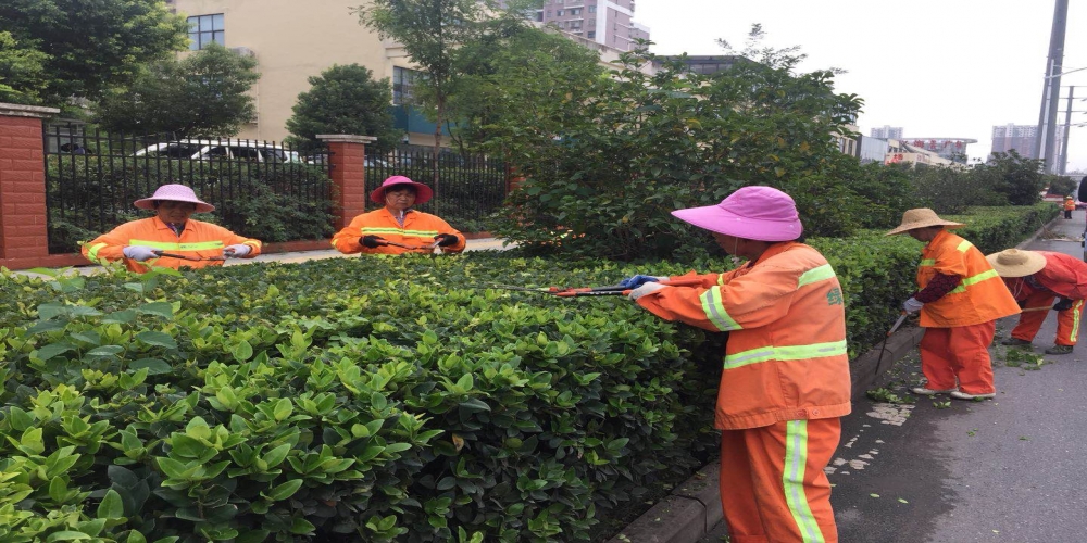 新站區(qū)道路清掃保潔、綠化管養(yǎng)項目